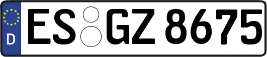 ES-GZ8675