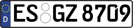 ES-GZ8709