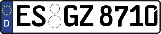 ES-GZ8710