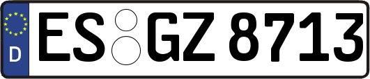 ES-GZ8713