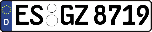ES-GZ8719