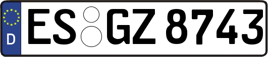 ES-GZ8743