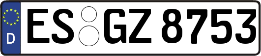 ES-GZ8753