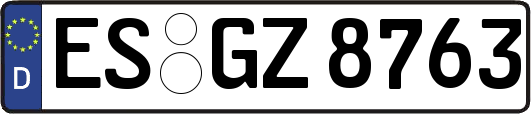 ES-GZ8763