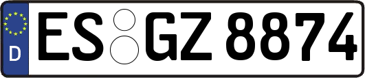 ES-GZ8874