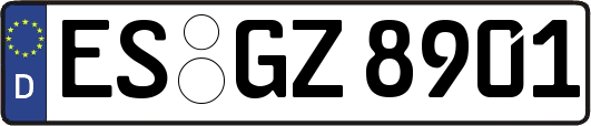 ES-GZ8901