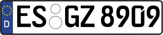 ES-GZ8909