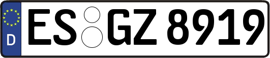 ES-GZ8919