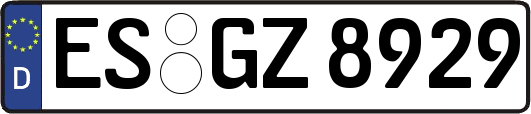 ES-GZ8929