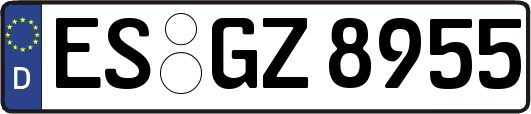 ES-GZ8955