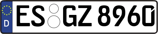 ES-GZ8960