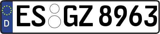 ES-GZ8963