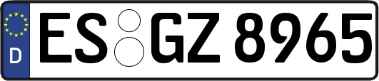ES-GZ8965