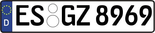 ES-GZ8969