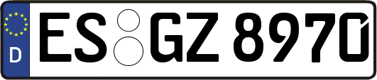 ES-GZ8970