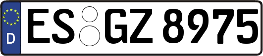 ES-GZ8975