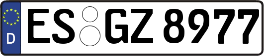 ES-GZ8977
