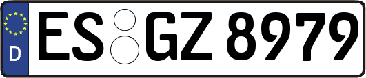 ES-GZ8979