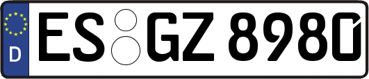 ES-GZ8980