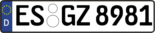 ES-GZ8981