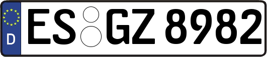 ES-GZ8982