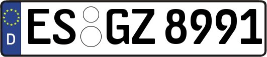 ES-GZ8991