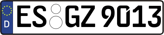 ES-GZ9013