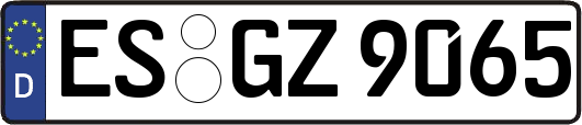 ES-GZ9065