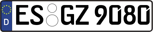 ES-GZ9080
