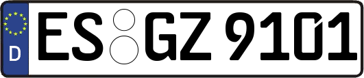 ES-GZ9101