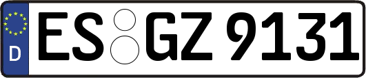 ES-GZ9131
