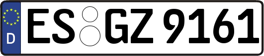 ES-GZ9161