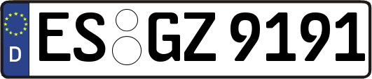 ES-GZ9191