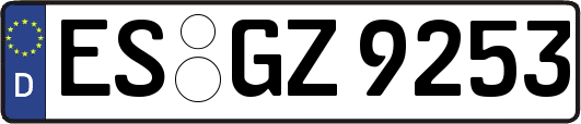 ES-GZ9253