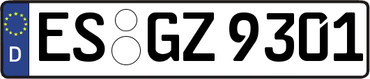 ES-GZ9301