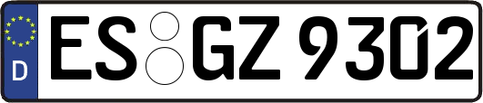 ES-GZ9302