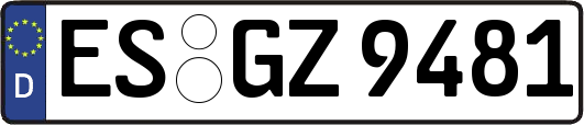 ES-GZ9481