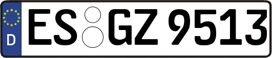 ES-GZ9513