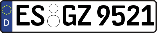 ES-GZ9521