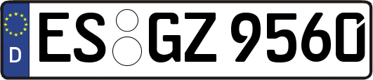 ES-GZ9560