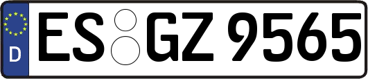 ES-GZ9565