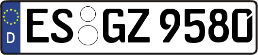 ES-GZ9580