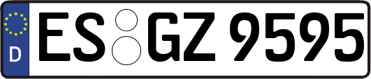 ES-GZ9595