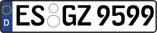 ES-GZ9599