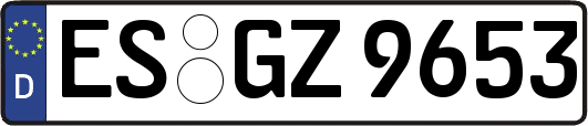 ES-GZ9653