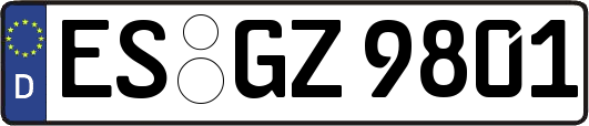 ES-GZ9801