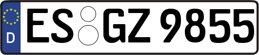 ES-GZ9855