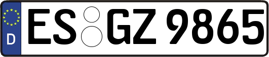 ES-GZ9865