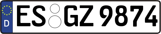 ES-GZ9874