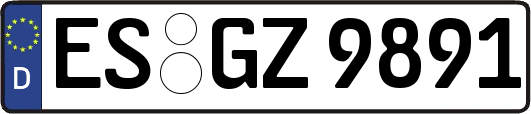ES-GZ9891